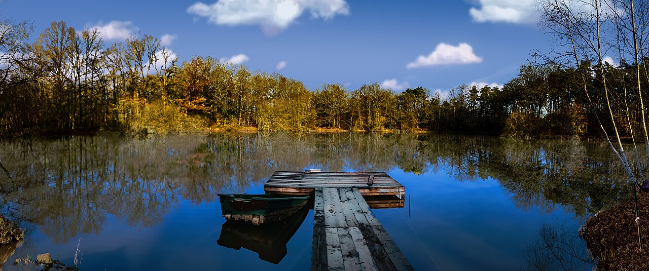 Forêt de Sologne aux couleurs d’automne près des châteaux de la Loire